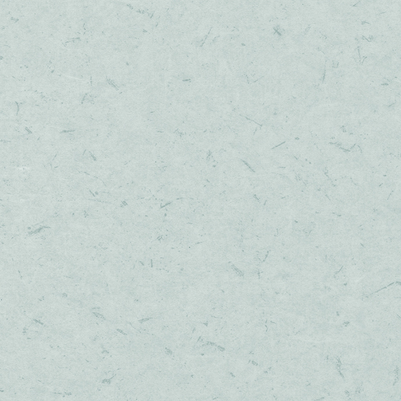 RK16